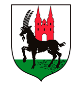 ONEITS - Partner gminy Wieruszów